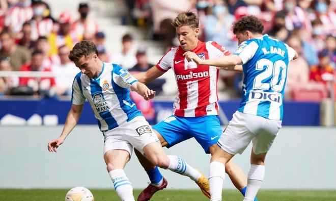 员转会中 员转会中